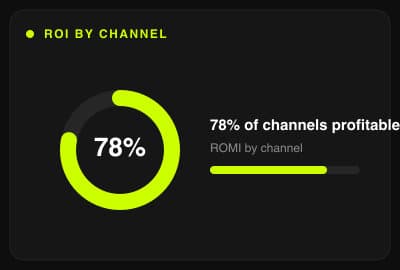 ROI by channel
